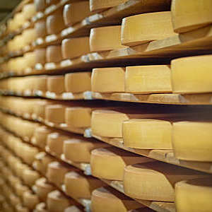 Racks of cheese wheels on shelves.